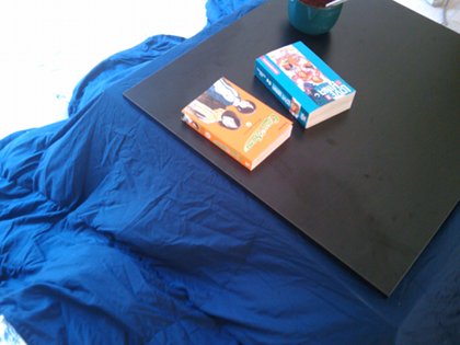 Okay I didn't really build a kotatsu I bolted an electric wallmountable