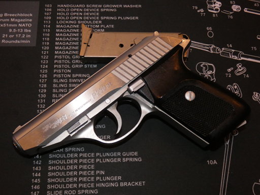 Sig Sauer P230SL pistol and magazine